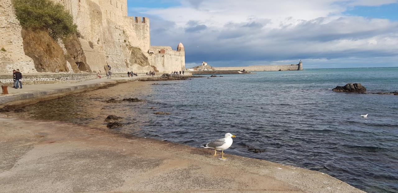 Studio Centre Plage Parking Gratuit Collioure Exterior photo